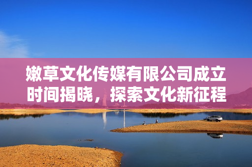 嫩草文化传媒有限公司成立时间揭晓，探索文化新征程