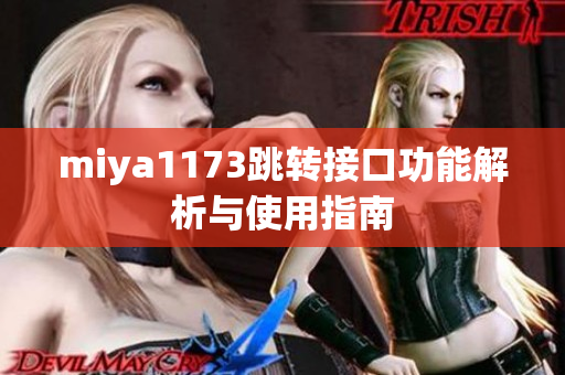 miya1173跳转接口功能解析与使用指南