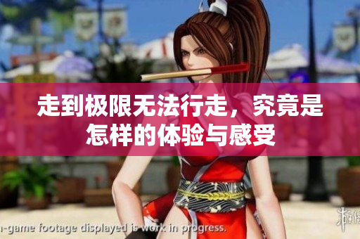 走到极限无法行走，究竟是怎样的体验与感受