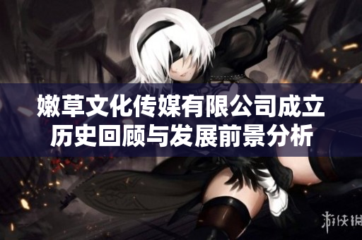 嫩草文化传媒有限公司成立历史回顾与发展前景分析
