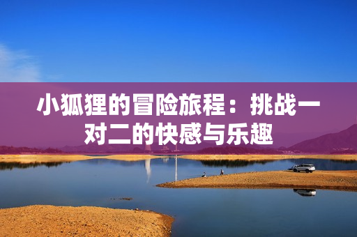 小狐狸的冒险旅程：挑战一对二的快感与乐趣