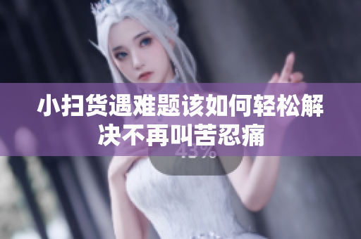 小扫货遇难题该如何轻松解决不再叫苦忍痛