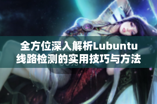 全方位深入解析Lubuntu线路检测的实用技巧与方法