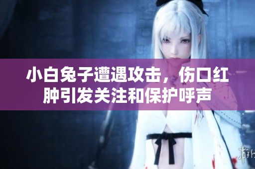 小白兔子遭遇攻击，伤口红肿引发关注和保护呼声