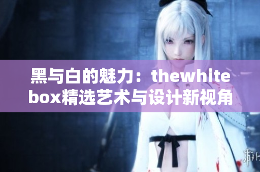 黑与白的魅力：thewhitebox精选艺术与设计新视角