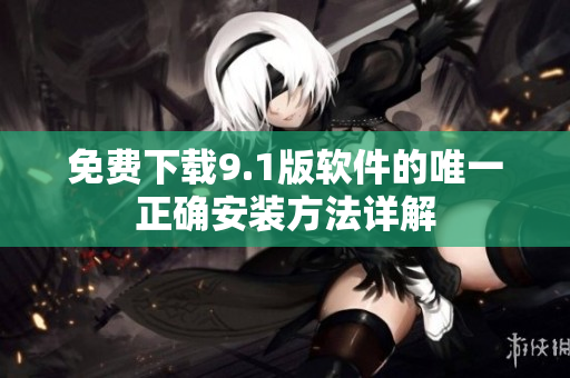 免费下载9.1版软件的唯一正确安装方法详解
