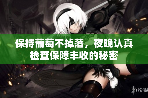 保持葡萄不掉落，夜晚认真检查保障丰收的秘密