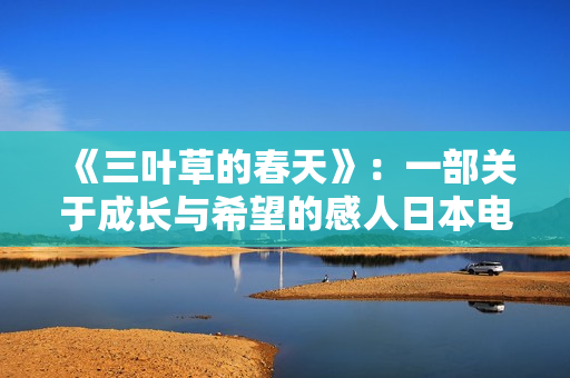 《三叶草的春天》：一部关于成长与希望的感人日本电影观后感