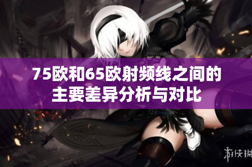 75欧和65欧射频线之间的主要差异分析与对比