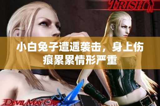 小白兔子遭遇袭击，身上伤痕累累情形严重