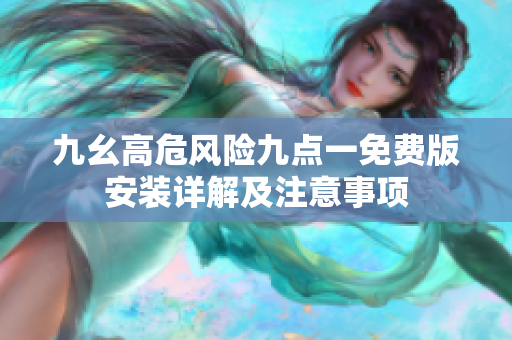 九幺高危风险九点一免费版安装详解及注意事项