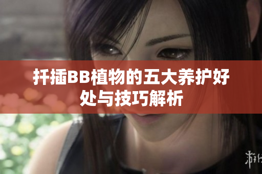 扦插BB植物的五大养护好处与技巧解析