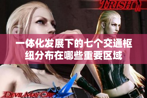 一体化发展下的七个交通枢纽分布在哪些重要区域