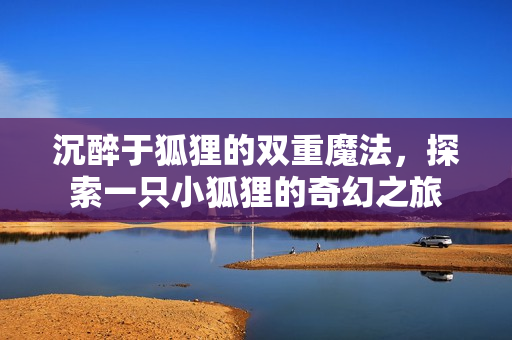 沉醉于狐狸的双重魔法，探索一只小狐狸的奇幻之旅