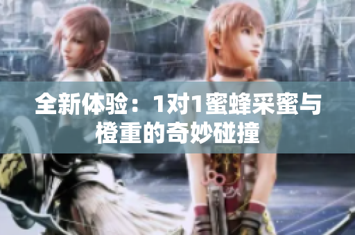 全新体验：1对1蜜蜂采蜜与橙重的奇妙碰撞