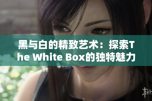 黑与白的精致艺术：探索The White Box的独特魅力