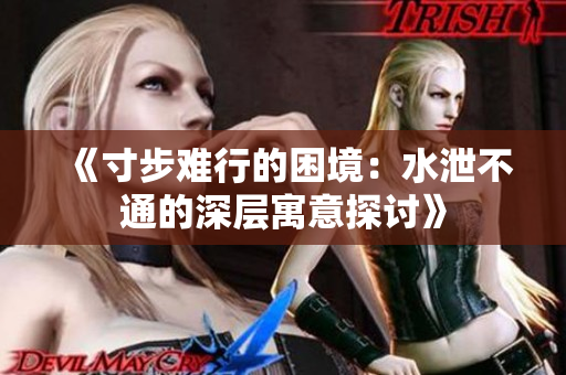 《寸步难行的困境：水泄不通的深层寓意探讨》