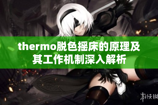 thermo脱色摇床的原理及其工作机制深入解析