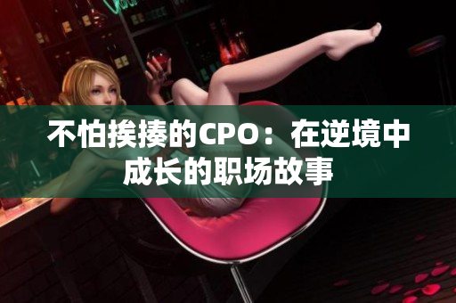 不怕挨揍的CPO：在逆境中成长的职场故事