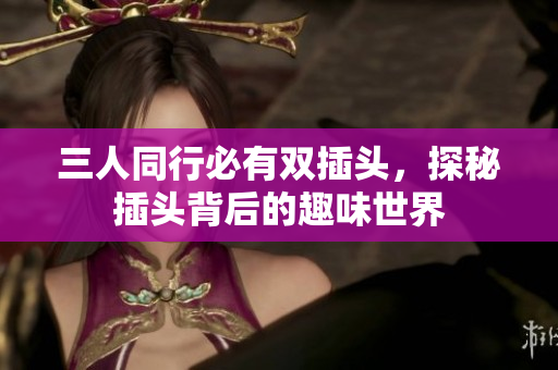 三人同行必有双插头，探秘插头背后的趣味世界