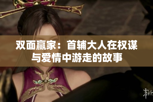 双面赢家：首辅大人在权谋与爱情中游走的故事