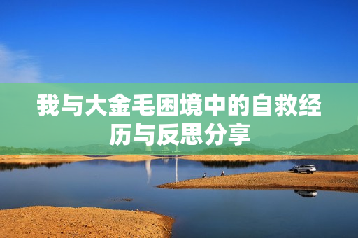 我与大金毛困境中的自救经历与反思分享