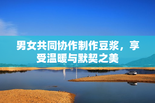 男女共同协作制作豆浆，享受温暖与默契之美