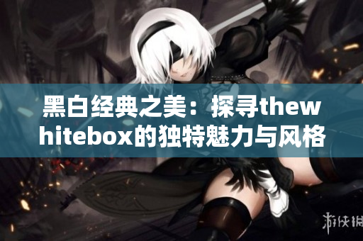 黑白经典之美：探寻thewhitebox的独特魅力与风格