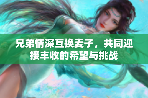兄弟情深互换麦子，共同迎接丰收的希望与挑战