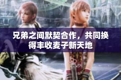 兄弟之间默契合作，共同换得丰收麦子新天地