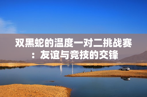 双黑蛇的温度一对二挑战赛：友谊与竞技的交锋