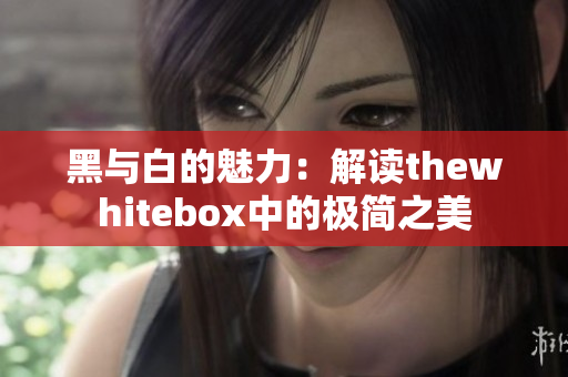 黑与白的魅力：解读thewhitebox中的极简之美