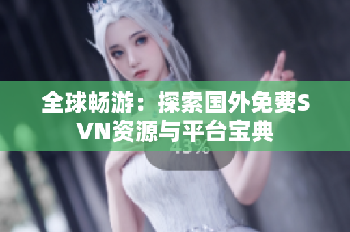 全球畅游：探索国外免费SVN资源与平台宝典