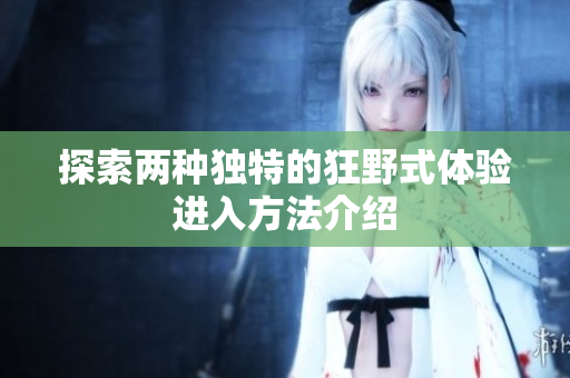 探索两种独特的狂野式体验进入方法介绍