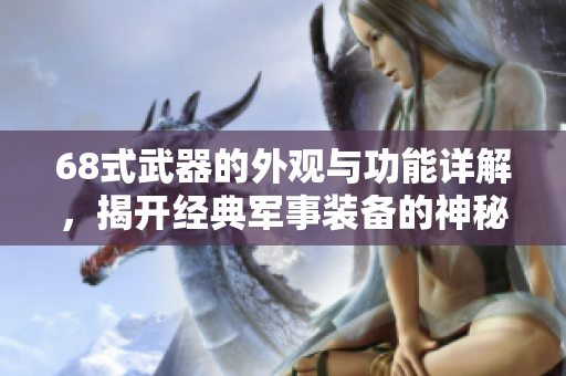 68式武器的外观与功能详解，揭开经典军事装备的神秘面纱