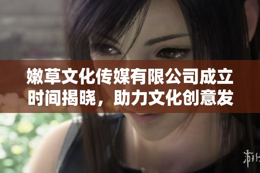 嫩草文化传媒有限公司成立时间揭晓，助力文化创意发展新篇章