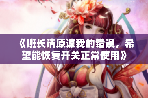 《班长请原谅我的错误，希望能恢复开关正常使用》