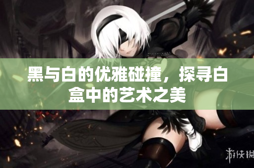 黑与白的优雅碰撞，探寻白盒中的艺术之美