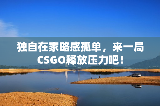 独自在家略感孤单，来一局CSGO释放压力吧！