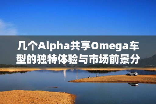 几个Alpha共享Omega车型的独特体验与市场前景分析