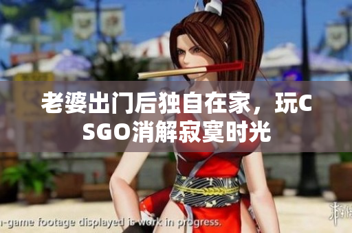 老婆出门后独自在家，玩CSGO消解寂寞时光