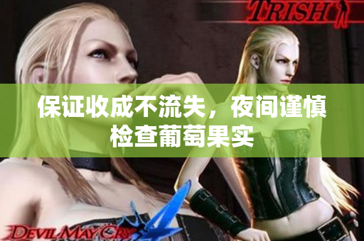 保证收成不流失，夜间谨慎检查葡萄果实