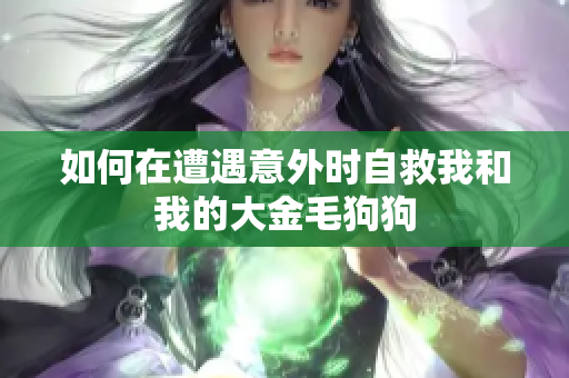 如何在遭遇意外时自救我和我的大金毛狗狗