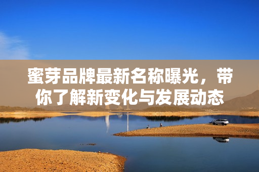 蜜芽品牌最新名称曝光，带你了解新变化与发展动态