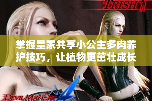 掌握皇家共享小公主多肉养护技巧，让植物更茁壮成长