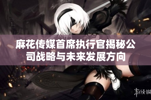 麻花传媒首席执行官揭秘公司战略与未来发展方向