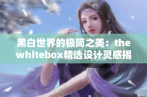 黑白世界的极简之美：thewhitebox精选设计灵感揭秘