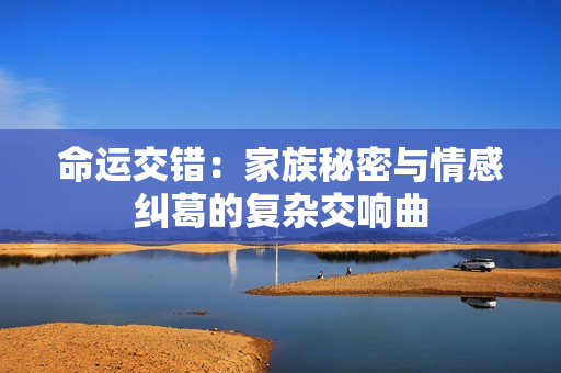 命运交错：家族秘密与情感纠葛的复杂交响曲