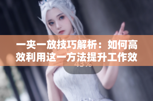 一夹一放技巧解析：如何高效利用这一方法提升工作效率