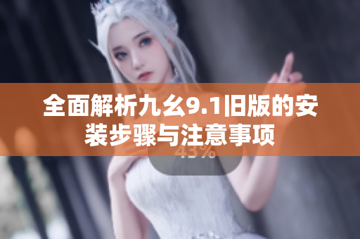 全面解析九幺9.1旧版的安装步骤与注意事项